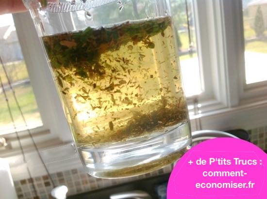 Peut-on préparer du bouillon de légumes avec une cafetière ?