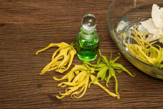 remèdes de grand-mère pour utiliser l'huile essentielle d'ylang ylang