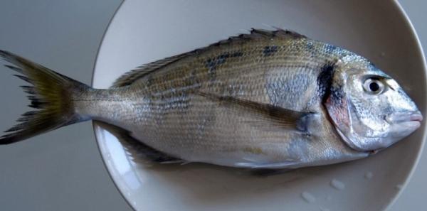 manger du poisson fait baisser le cholestérol