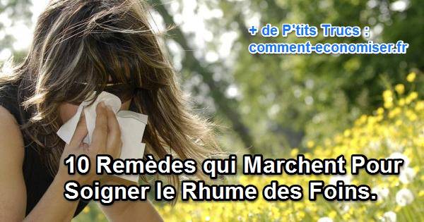 10 remèdes pour soigner le rhume des foins