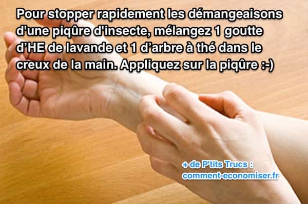 le traitement aux huiles essentielles pour calmer les démangeaisons des piqûres d'insectes