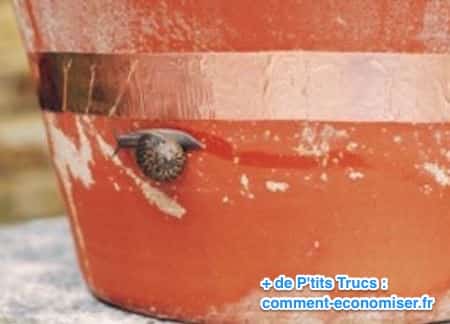 Répulsif bio contre les escargots dans le jardin à la maison