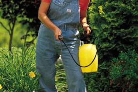 reverdir pelouse avec bière et liquide vaisselle