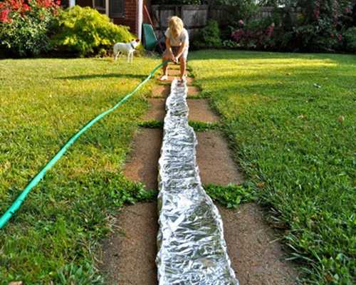 RiviÃ¨re dans le jardin en papier d'alu pour les enfants