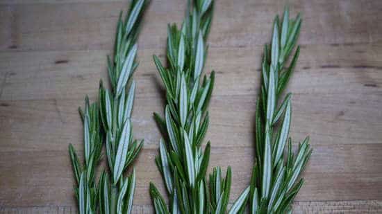 la menthe et le romarin peuvent être utilisés comme shampoing