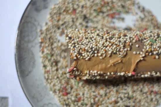 Roulez tube papier toilette sur graines