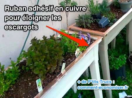 Ruban adhésif autour des jardinières pour se débarrasser des escargots