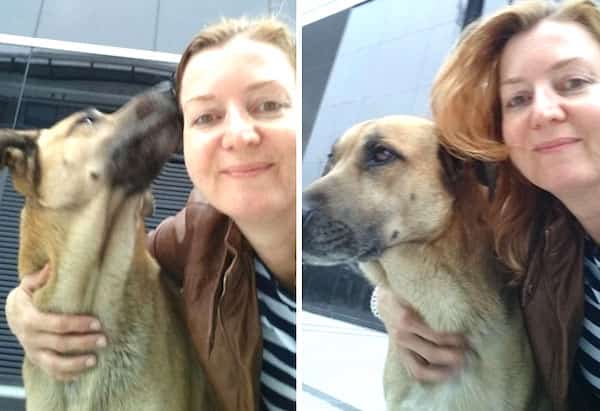 chien errant adopté et sa nouvelle famille
