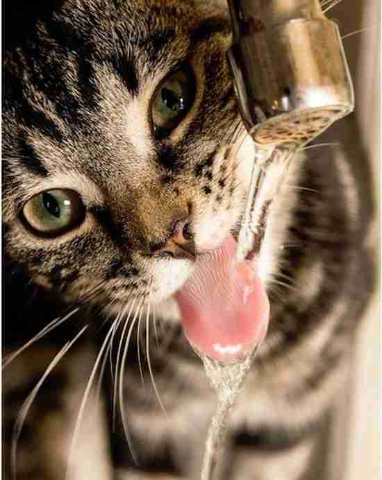 déshydratation effets sur la peau et les muqueuses