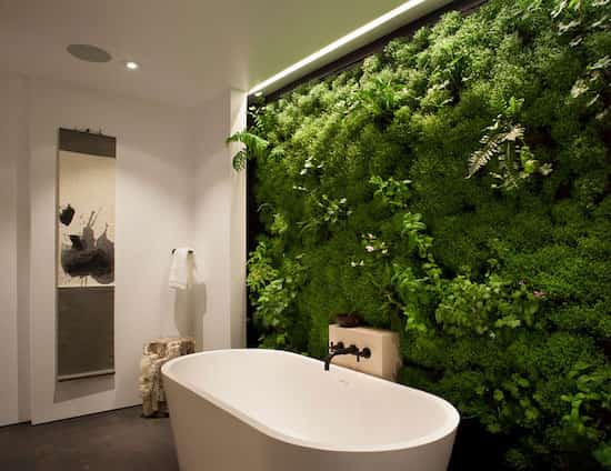 mur végétal salle de bain intérieur design