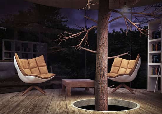 intérieur design maison construite autour arbre