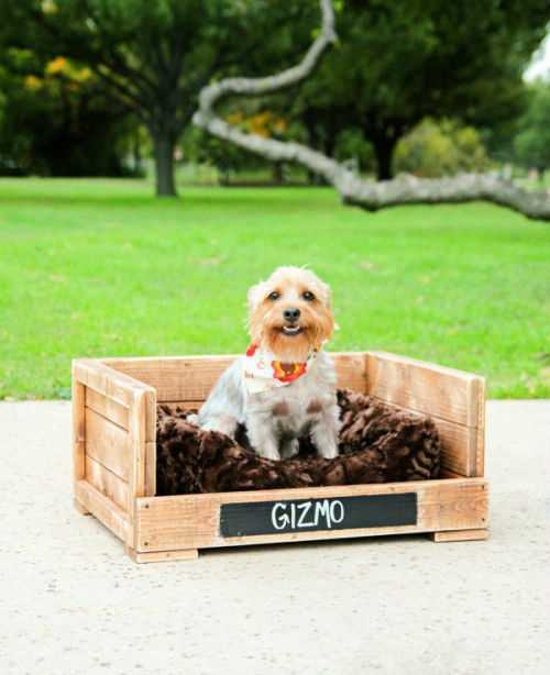 panier pour chien fait en palette