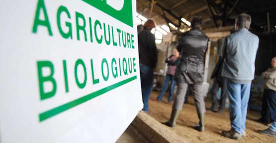 La conversion au bio est un long processus