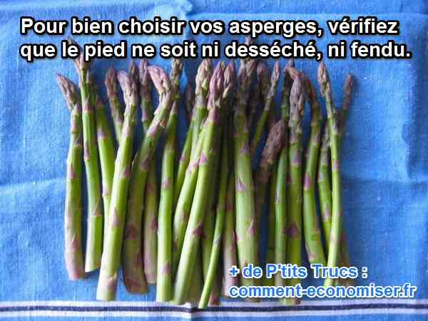 comment bien choisir ses asperges