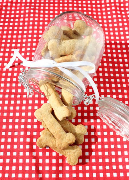 Plus Besoin D Acheter De Friandises Pour Chien Voici 4 Recettes Super Faciles A Faire