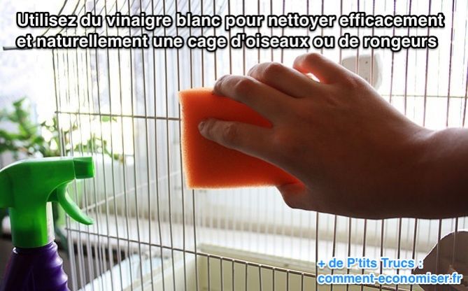 Utilisez du vinaigre blanc pour nettoyer efficacement et naturellement une cage d'oiseaux ou de rongeurs 