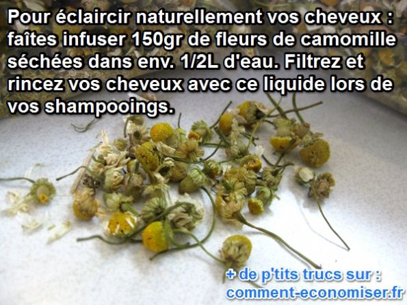 la camomile éclairci naturellement les cheveux