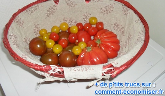 comment conserver tomates plus longtemps