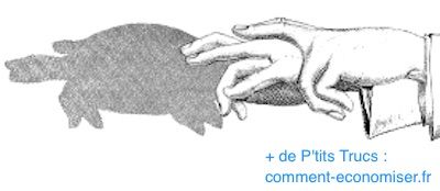 Comment faire une tortue en ombres chinoises