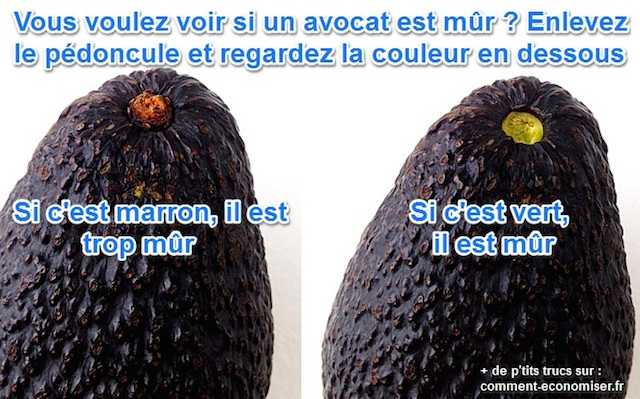 L'astuce pour savoir si en avocat est mûr en regardant le pédoncule