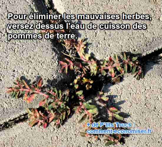 débarrassez-vous des mauvaises herbes avec l'eau de cuisson des patates