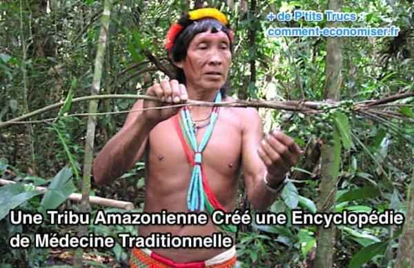 la forêt amazonienne renferme des richesses naturelles