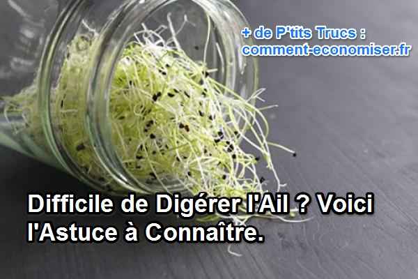 Pour éviter les problèmes de digestion et la mauvaise halein du à l'ail, mangez des graines d'ail germées