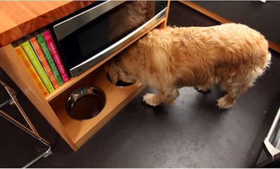 gamelle en hauteur pour chien fait maison