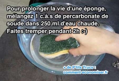 redonner vie à une vieille éponge avec percarbonate