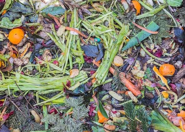 Des déchets pour faire du compost
