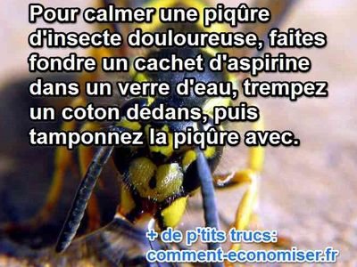 comment calmer piqure insecte aspirine