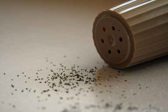 répandez du poivre pour faire fuir les fourmis