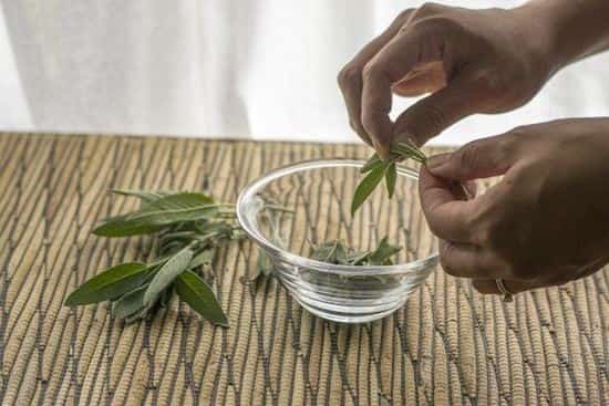 Mains qui cueillent des feuilles de sauge et les mettent dans un petit bol en verre.