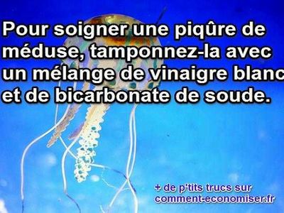 soigner pigure méduse avec du bicarbonate