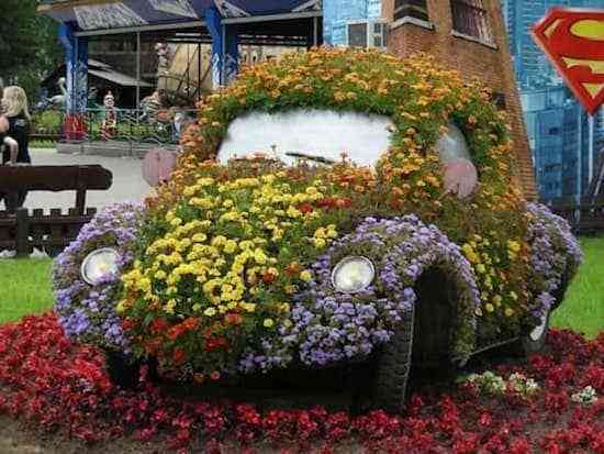 Vieille voiture vintage recouverte de fleurs