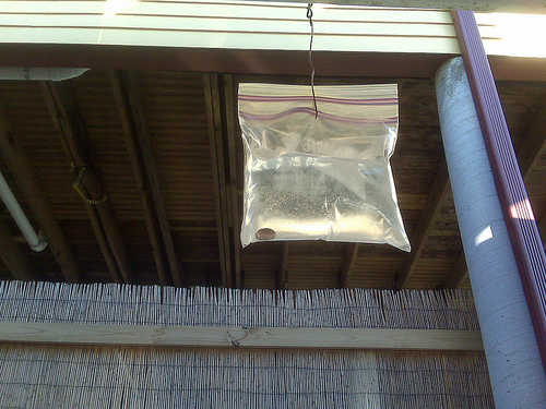 Faire fuir les mouches avec un sac en plastique rempli d'eau