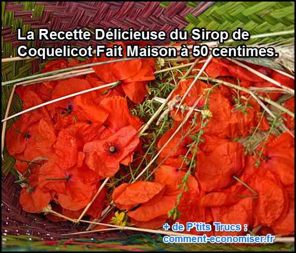 des pétales de coquelicots pour faire du sirop