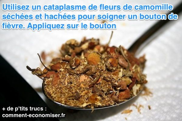 Remède à base de camomille séchées pour soigner bouton de fièvre