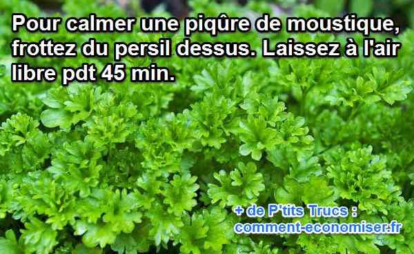 frottez du persil sur une piqure de moustique pour calmer les démangeaisons