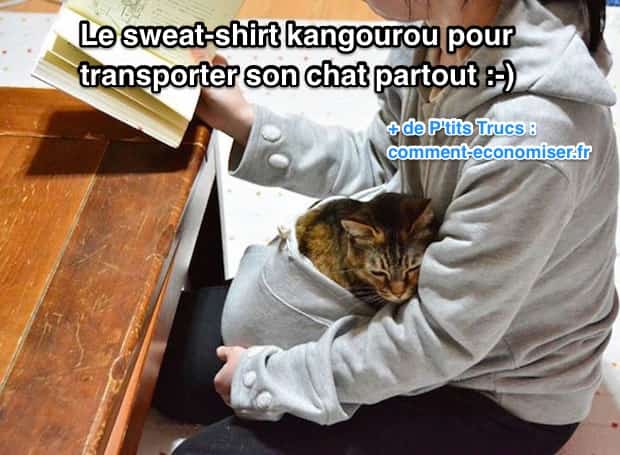 Produit Malin Le Sweat Shirt Kangourou Pour Transporter Son Chat Partout