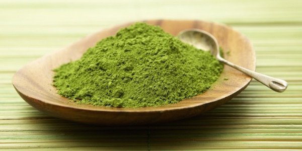 Saviez-vous que le gallate d'épigallocatéchine agit aussi sur le métabolisme ?