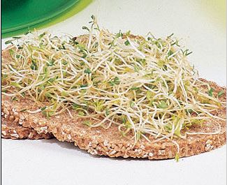 toast céréales des graines d'ail germées