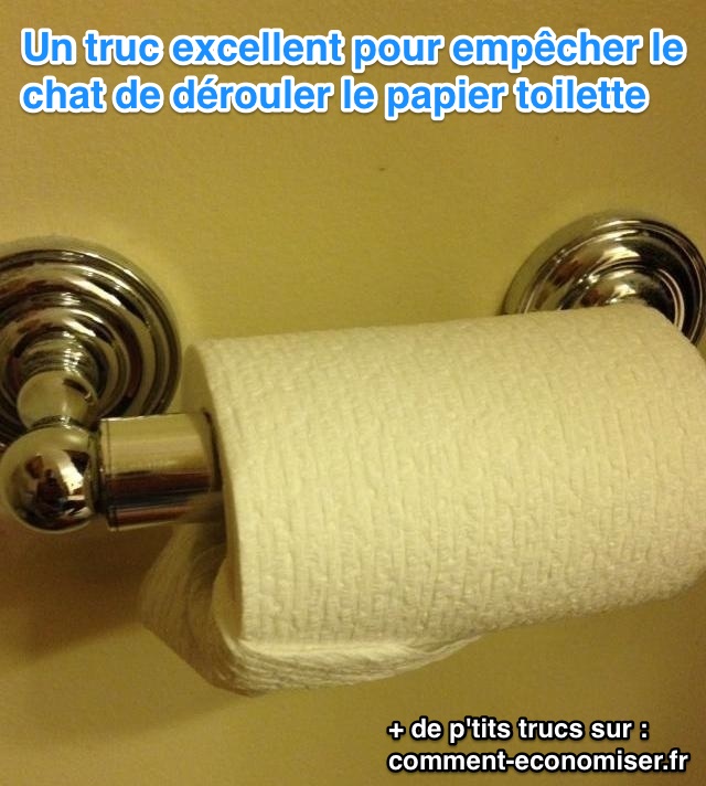 Un Truc Excellent Pour Empecher Le Chat De Derouler Le Papier Toilette