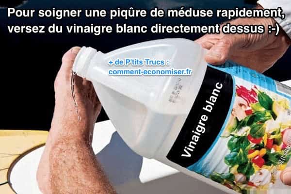 Traitement au vinaigre blanc pour soigner piqures de méduse