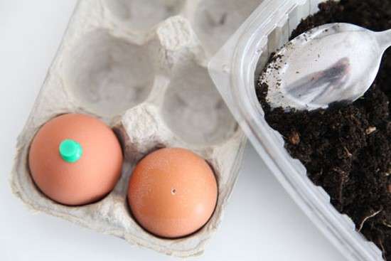 percez un trou dans la coquille d'oeuf