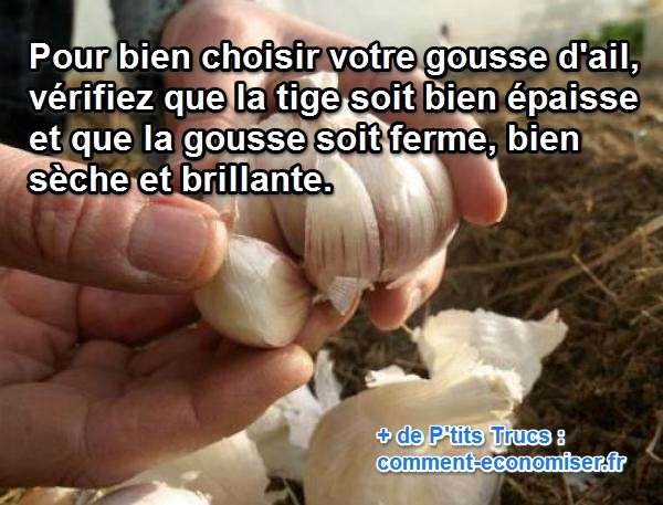 Les 4 trucs à vérifier pour bien choisir son ail