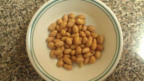 cacahuètes bar bactéries