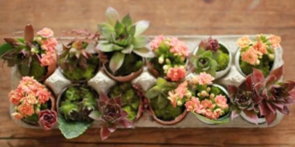 Comment faire un petit cadeau avec une coquille d'œuf ?