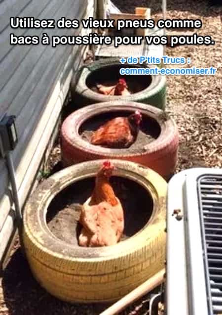 utiliser de vieux pneu bain de poussière poule facile