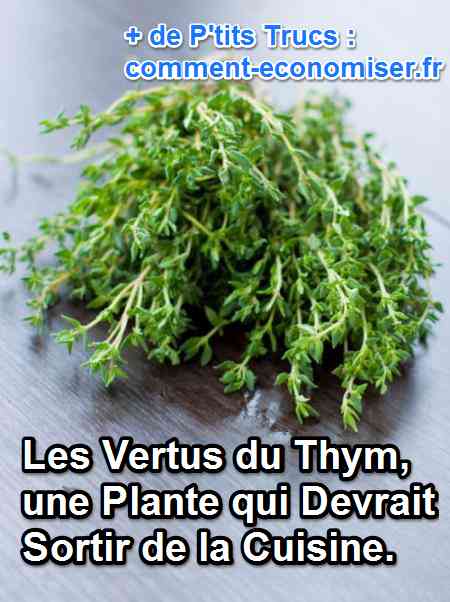 Du thym